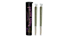 Non-infused pre-roll 2-pack (1 gram).