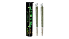 Kush Mints Non-infused Pre-roll 2-pack (1 gram).