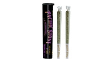 225x128_web_WDC-2PK Wedding Cake Non-infused Pre-roll 2-pack (1 gram).