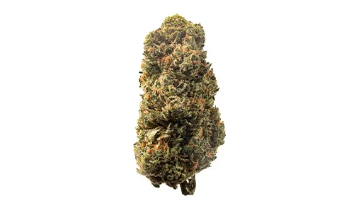 510x287_web_BDM-01 Blue Dream