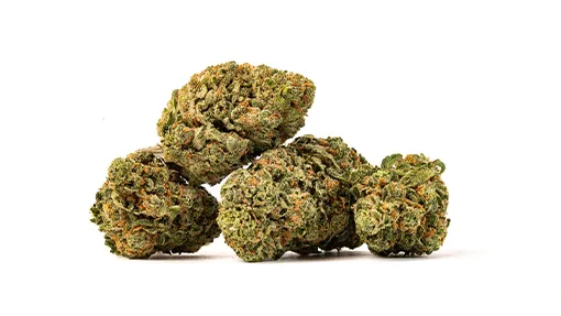 510x287_web_BDM-02 Blue Dream strain