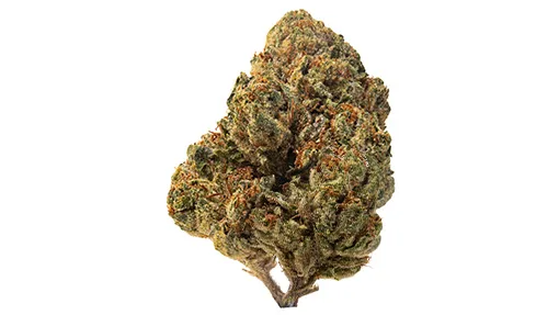Gorilla Glue