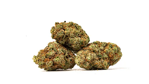 510x287_web_GMO-02 GMO strain