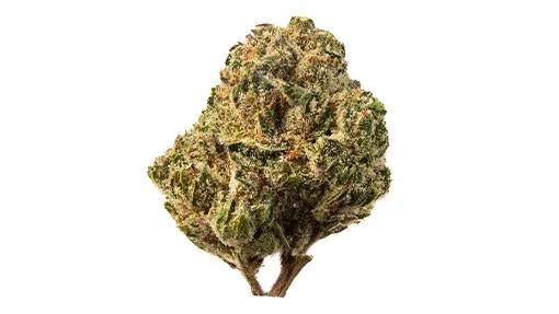 510x287_web_SBC-01 Strawberry Cough