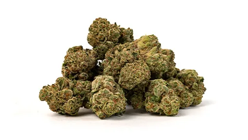 510x287_web_SBC-02 Strawberry Cough strain