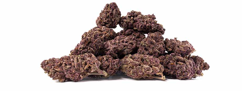 Tangie-4 Pacific Stone Purple Tangie Cannabis Flower